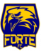 Forte FC