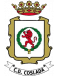 CD Coslada