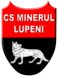 Minerul Lupeni