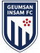 Geumsan Insam logosu