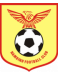 Nam Dinh FC