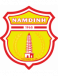 Nam Dinh FC