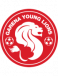Young Lions