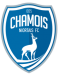 Niort B