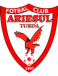 Arieșul Turda