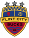 Flint City