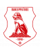 Panserraikos U19 logosu