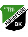 Hønefoss Jugend