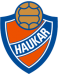 Haukar