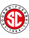 Leogang