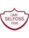 UMF Selfoss logosu