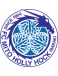 Mito HollyHock logosu