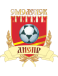 Dnepr Smolensk