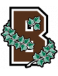 Brown Bears