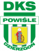 P. Dzierzgon