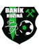 Banik Ruzina