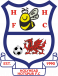 Holyhead H.