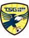 Tainan City TSG logosu