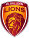 FC Bulleen Lions logosu