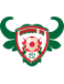 Gomido FC