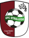 UFC Strallegg