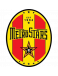 MetroStars