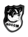 ROC Charleroi-M.