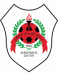 Al-Rayyan SC logosu