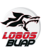 Lobos U20