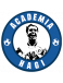 Academia Hagi