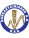 Panelefsiniakos