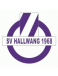 Hallwang Jugend