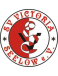 Victoria Seelow