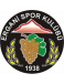 Erganispor