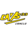 DVS '33