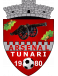 CS Tunari