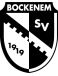 Bockenem 1919