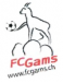 FC Gams