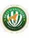 Bray Wanderers