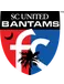 United Bantams