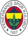 Fenerbahçe U19