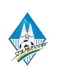 Schwanenstadt