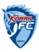 Daejeon Korail FC logosu
