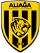 Aliağa FK