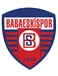 Babaeskispor