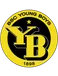 Young Boys