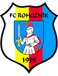 Rohoznik