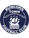 Runcorn Town