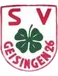 SV Geisingen