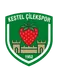 Kestel Çilek SK